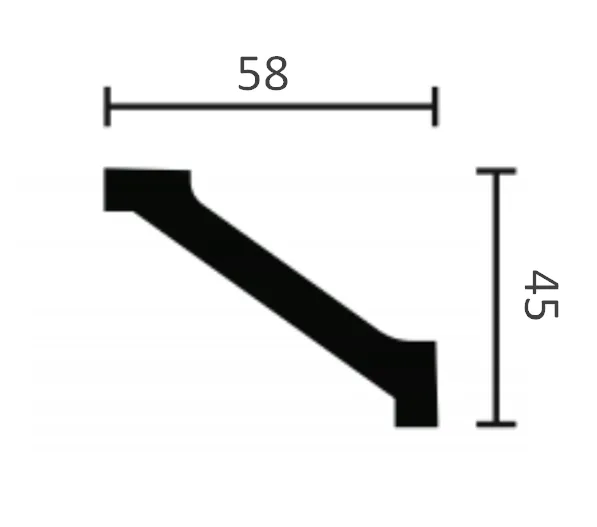 WT1