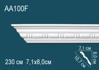 AA100F
