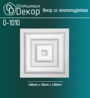 D1010