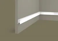 ZP008