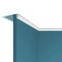 P02t