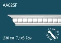AA025F